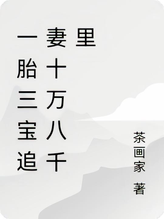 一胎三宝追妻十万八千里